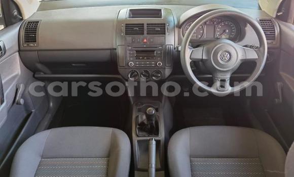 Acheter Occasion Voiture Volkswagen Polo Gris à Peka, Leribe Acheter Occasion Voiture Volkswagen Polo Gris à Peka, Leribe