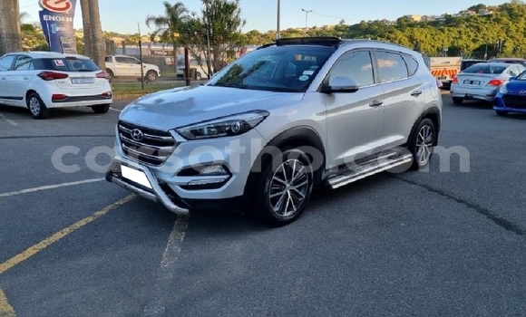 اشتري مستعمل Hyundai Tucson Silver سيارة في Mafeteng في Mafeteng اشتري مستعمل Hyundai Tucson Silver سيارة في Mafeteng في Mafeteng