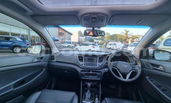 اشتري مستعمل Hyundai Tucson Silver سيارة في Mafeteng في Mafeteng اشتري مستعمل Hyundai Tucson Silver سيارة في Mafeteng في Mafeteng