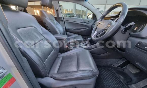 اشتري مستعمل Hyundai Tucson Silver سيارة في Mafeteng في Mafeteng اشتري مستعمل Hyundai Tucson Silver سيارة في Mafeteng في Mafeteng