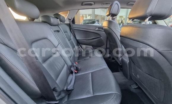اشتري مستعمل Hyundai Tucson Silver سيارة في Mafeteng في Mafeteng اشتري مستعمل Hyundai Tucson Silver سيارة في Mafeteng في Mafeteng