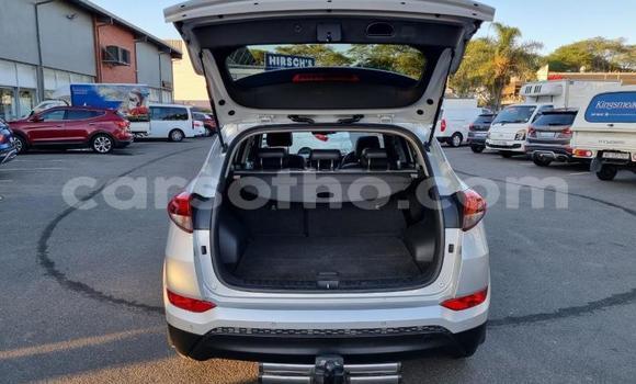 اشتري مستعمل Hyundai Tucson Silver سيارة في Mafeteng في Mafeteng اشتري مستعمل Hyundai Tucson Silver سيارة في Mafeteng في Mafeteng