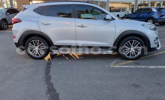 اشتري مستعمل Hyundai Tucson Silver سيارة في Mafeteng في Mafeteng اشتري مستعمل Hyundai Tucson Silver سيارة في Mafeteng في Mafeteng