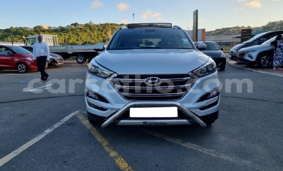 اشتري مستعمل Hyundai Tucson Silver سيارة في Mafeteng في Mafeteng اشتري مستعمل Hyundai Tucson Silver سيارة في Mafeteng في Mafeteng