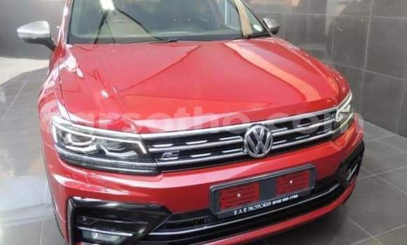 Buy Used Volkswagen Tiguan Red Car in Maseru in Maseru Buy Used Volkswagen Tiguan Red Car in Maseru in Maseru
