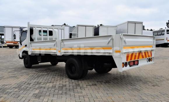 Buy Used Toyota Dyna White Car in Maseru in Maseru Buy Used Toyota Dyna White Car in Maseru in Maseru