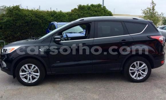 اشتري مستعمل Ford Kuga Other سيارة في Hlotse في Leribe اشتري مستعمل Ford Kuga Other سيارة في Hlotse في Leribe