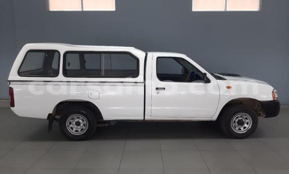 اشتري مستعمل Nissan NP 300 White سيارة في Maseru في Maseru اشتري مستعمل Nissan NP 300 White سيارة في Maseru في Maseru