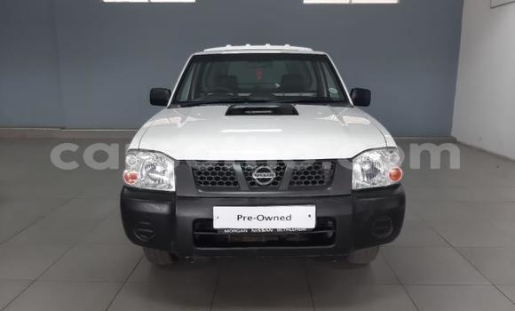 اشتري مستعمل Nissan NP 300 White سيارة في Maseru في Maseru اشتري مستعمل Nissan NP 300 White سيارة في Maseru في Maseru