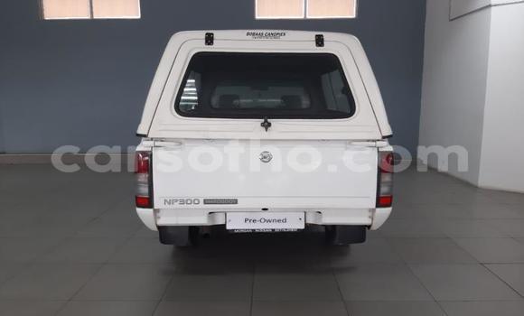 اشتري مستعمل Nissan NP 300 White سيارة في Maseru في Maseru اشتري مستعمل Nissan NP 300 White سيارة في Maseru في Maseru