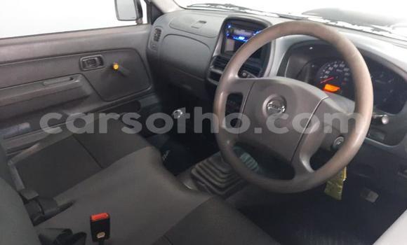 اشتري مستعمل Nissan NP 300 White سيارة في Maseru في Maseru اشتري مستعمل Nissan NP 300 White سيارة في Maseru في Maseru