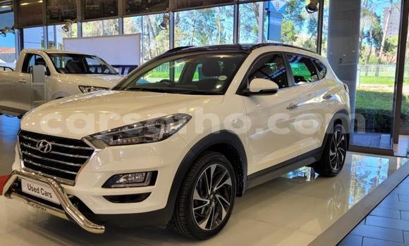 اشتري مستعمل Hyundai Tucson White سيارة في Maseru في Maseru اشتري مستعمل Hyundai Tucson White سيارة في Maseru في Maseru