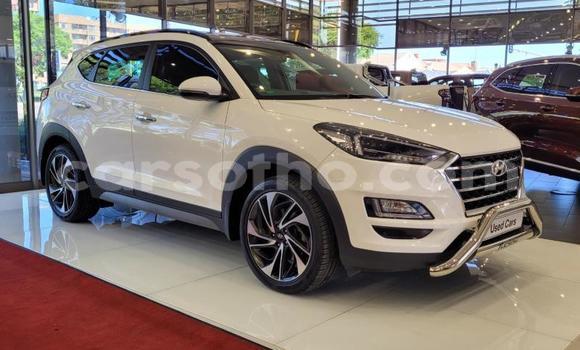 اشتري مستعمل Hyundai Tucson White سيارة في Maseru في Maseru اشتري مستعمل Hyundai Tucson White سيارة في Maseru في Maseru