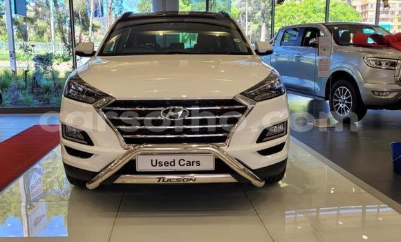 اشتري مستعمل Hyundai Tucson White سيارة في Maseru في Maseru اشتري مستعمل Hyundai Tucson White سيارة في Maseru في Maseru