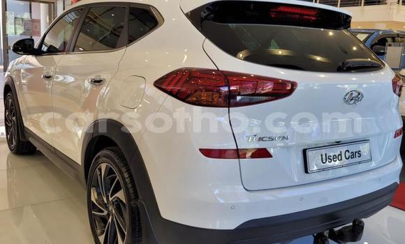 اشتري مستعمل Hyundai Tucson White سيارة في Maseru في Maseru اشتري مستعمل Hyundai Tucson White سيارة في Maseru في Maseru