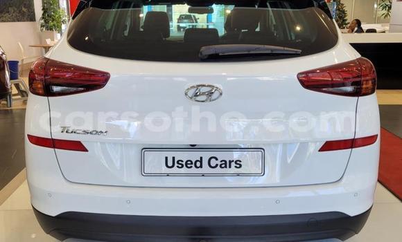 اشتري مستعمل Hyundai Tucson White سيارة في Maseru في Maseru اشتري مستعمل Hyundai Tucson White سيارة في Maseru في Maseru