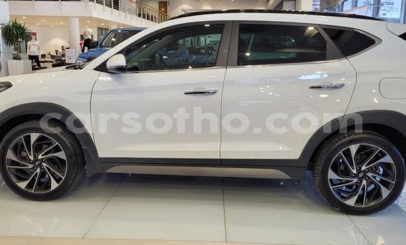 اشتري مستعمل Hyundai Tucson White سيارة في Maseru في Maseru اشتري مستعمل Hyundai Tucson White سيارة في Maseru في Maseru