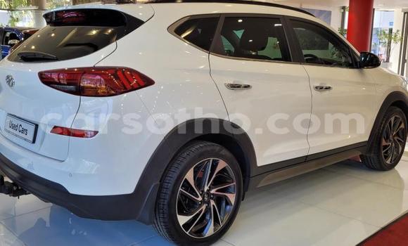 اشتري مستعمل Hyundai Tucson White سيارة في Maseru في Maseru اشتري مستعمل Hyundai Tucson White سيارة في Maseru في Maseru