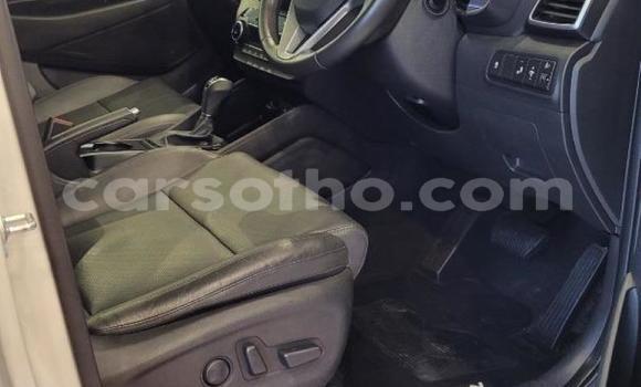 اشتري مستعمل Hyundai Tucson White سيارة في Maseru في Maseru اشتري مستعمل Hyundai Tucson White سيارة في Maseru في Maseru