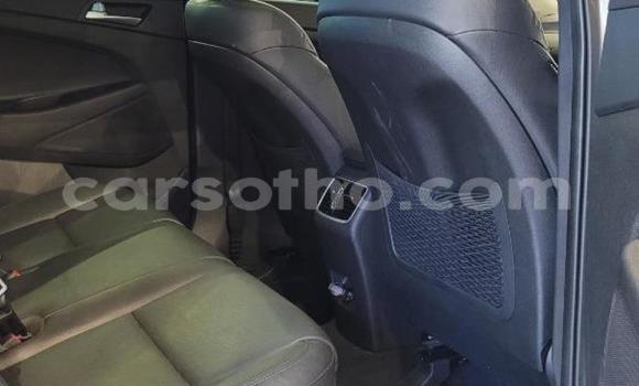 اشتري مستعمل Hyundai Tucson White سيارة في Maseru في Maseru اشتري مستعمل Hyundai Tucson White سيارة في Maseru في Maseru