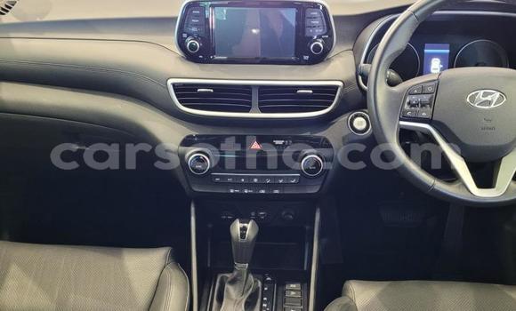 اشتري مستعمل Hyundai Tucson White سيارة في Maseru في Maseru اشتري مستعمل Hyundai Tucson White سيارة في Maseru في Maseru