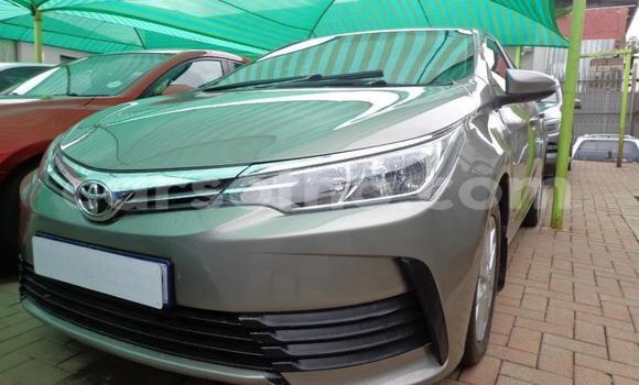 Acheter Occasion Voiture Toyota Corolla Gris à Thaba–Tseka, Mafeteng Acheter Occasion Voiture Toyota Corolla Gris à Thaba–Tseka, Mafeteng