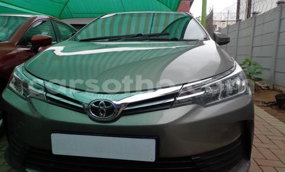 Acheter Occasion Voiture Toyota Corolla Gris à Thaba–Tseka, Mafeteng Acheter Occasion Voiture Toyota Corolla Gris à Thaba–Tseka, Mafeteng