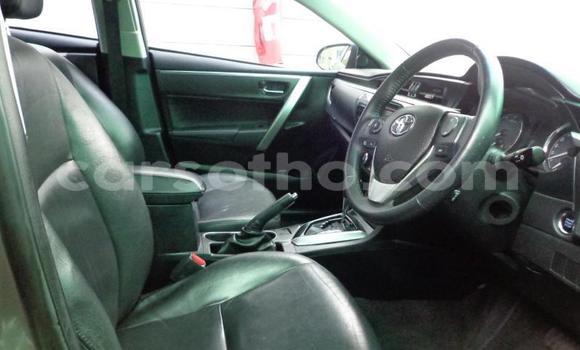 Acheter Occasion Voiture Toyota Corolla Gris à Thaba–Tseka, Mafeteng Acheter Occasion Voiture Toyota Corolla Gris à Thaba–Tseka, Mafeteng
