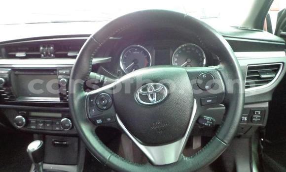 Acheter Occasion Voiture Toyota Corolla Gris à Thaba–Tseka, Mafeteng Acheter Occasion Voiture Toyota Corolla Gris à Thaba–Tseka, Mafeteng