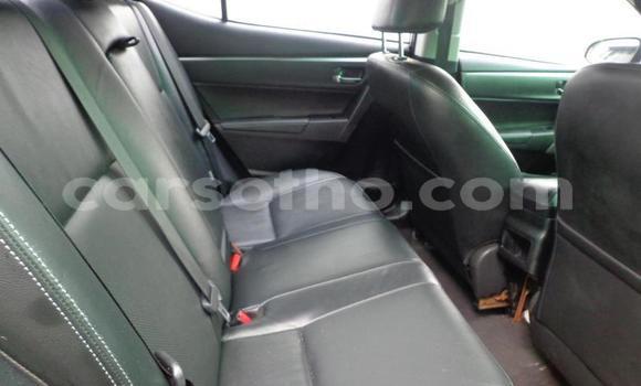 Acheter Occasion Voiture Toyota Corolla Gris à Thaba–Tseka, Mafeteng Acheter Occasion Voiture Toyota Corolla Gris à Thaba–Tseka, Mafeteng