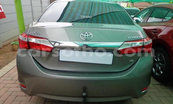 Acheter Occasion Voiture Toyota Corolla Gris à Thaba–Tseka, Mafeteng Acheter Occasion Voiture Toyota Corolla Gris à Thaba–Tseka, Mafeteng