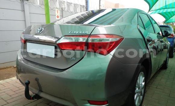 Acheter Occasion Voiture Toyota Corolla Gris à Thaba–Tseka, Mafeteng Acheter Occasion Voiture Toyota Corolla Gris à Thaba–Tseka, Mafeteng