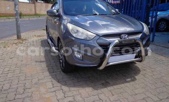 Acheter Occasion Voiture Hyundai ix35 Gris à Mohale's Hoek, Mohale's Hoek Acheter Occasion Voiture Hyundai ix35 Gris à Mohale's Hoek, Mohale's Hoek
