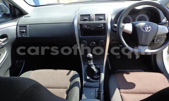 Sayi Na hannu Toyota Corolla White Mota in Roma a Maseru Sayi Na hannu Toyota Corolla White Mota in Roma a Maseru
