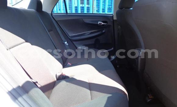 Sayi Na hannu Toyota Corolla White Mota in Roma a Maseru Sayi Na hannu Toyota Corolla White Mota in Roma a Maseru