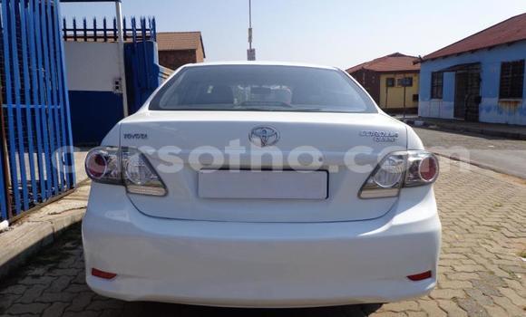 Sayi Na hannu Toyota Corolla White Mota in Roma a Maseru Sayi Na hannu Toyota Corolla White Mota in Roma a Maseru