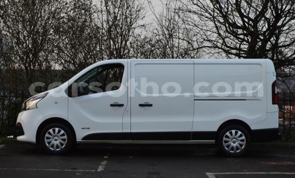 Buy Used Renault Trafic White Truck in Maseru in Maseru Buy Used Renault Trafic White Truck in Maseru in Maseru