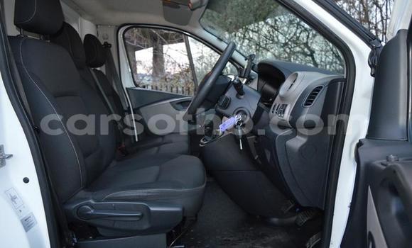 Buy Used Renault Trafic White Truck in Maseru in Maseru Buy Used Renault Trafic White Truck in Maseru in Maseru