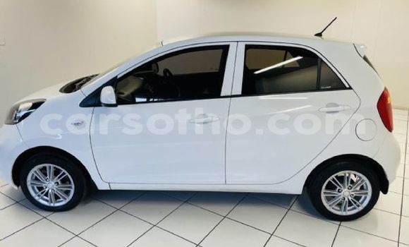 Sayi Na hannu Kia Picanto Other Mota in Maseru a Maseru Sayi Na hannu Kia Picanto Other Mota in Maseru a Maseru