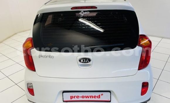 Sayi Na hannu Kia Picanto Other Mota in Maseru a Maseru Sayi Na hannu Kia Picanto Other Mota in Maseru a Maseru