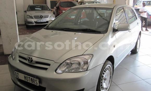 Acheter Occasion Voiture Toyota Runx Gris à Maseru, Maseru Acheter Occasion Voiture Toyota Runx Gris à Maseru, Maseru