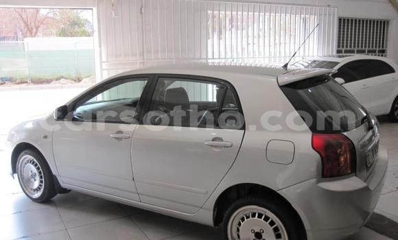 Acheter Occasion Voiture Toyota Runx Gris à Maseru, Maseru Acheter Occasion Voiture Toyota Runx Gris à Maseru, Maseru