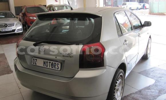 Acheter Occasion Voiture Toyota Runx Gris à Maseru, Maseru Acheter Occasion Voiture Toyota Runx Gris à Maseru, Maseru