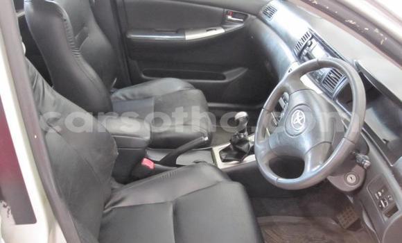 Acheter Occasion Voiture Toyota Runx Gris à Maseru, Maseru Acheter Occasion Voiture Toyota Runx Gris à Maseru, Maseru