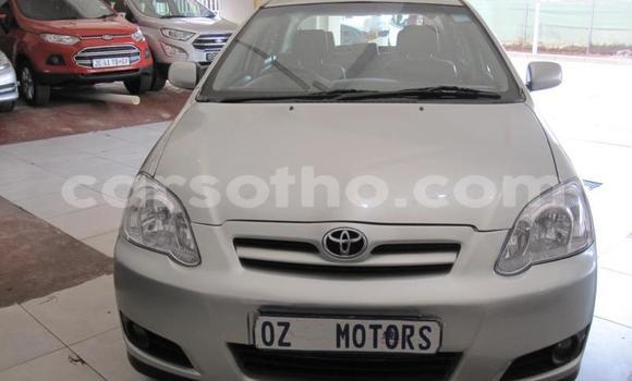 Acheter Occasion Voiture Toyota Runx Gris à Maseru, Maseru Acheter Occasion Voiture Toyota Runx Gris à Maseru, Maseru