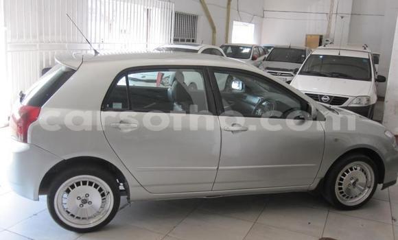 Acheter Occasion Voiture Toyota Runx Gris à Maseru, Maseru Acheter Occasion Voiture Toyota Runx Gris à Maseru, Maseru