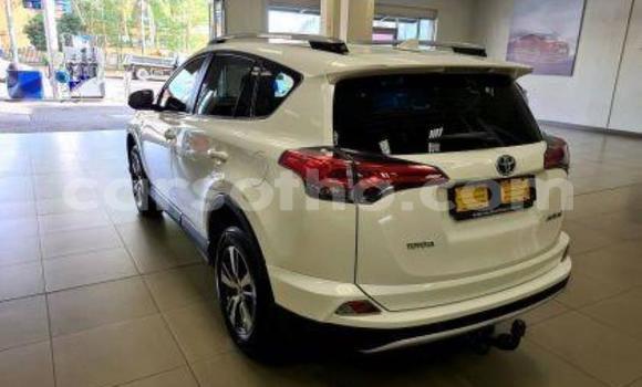 اشتري مستعمل Toyota RAV4 White سيارة في Maseru في Maseru اشتري مستعمل Toyota RAV4 White سيارة في Maseru في Maseru