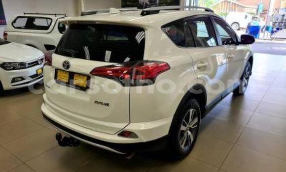 اشتري مستعمل Toyota RAV4 White سيارة في Maseru في Maseru اشتري مستعمل Toyota RAV4 White سيارة في Maseru في Maseru