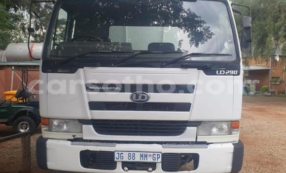 اشتري مستعمل Nissan UD White شاحنة في Maseru في Maseru اشتري مستعمل Nissan UD White شاحنة في Maseru في Maseru