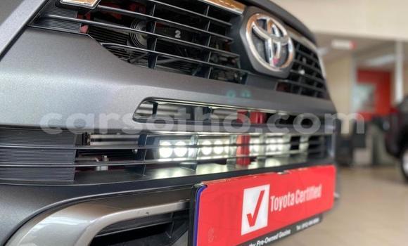 Acheter Occasion Voiture Toyota Hilux Rouge à Maseru, Maseru Acheter Occasion Voiture Toyota Hilux Rouge à Maseru, Maseru